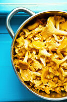 Fresh chanterelles in a saucepan