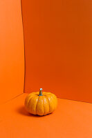 An orange pumpkin on an orange surface