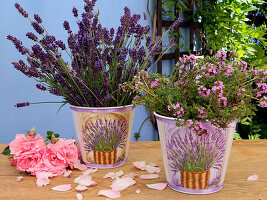 Flowering lavender and thyme in small buckets decorated with transfers