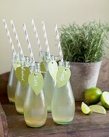 Hausgemachte Limonade in kleinen Flaschen mit Strohhalmen und Namensschildern, geschnittene Limetten und Rosmarin