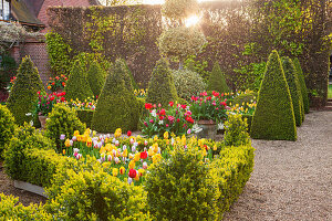 Formaler Garten mit blühenden Tulpen