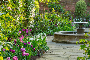 Formaler Garten mit Springbrunnen und Tulpen (Tulipa) im Beet
