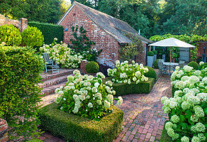 Formaler Garten mit Hortensie 'Annabelle' in Buchs-Hecken