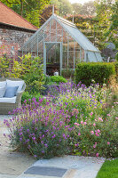 Beet mit Goldlack 'Bowles Mauve' (Erysimum) und Zistrose 'Silver Pink' (Cistus argenteus), Gewächshaus und Terrasse mit Korbsessel