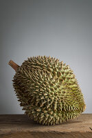 Eine Durian-Frucht vor grauem Hintergrund