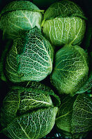 Fresh savoy cabbage at a market