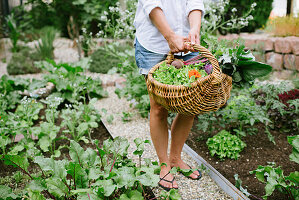 Germany, Bavaria, Nuremberg, Mature woman with vegetables in garden