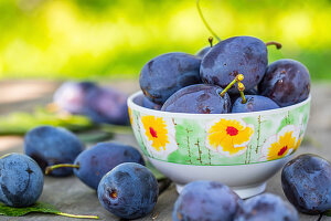 Blue and violet plums in the garden on wooden table