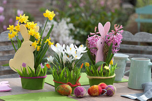 Easter Decoration With Daffodils, Crocus And Hyacinths