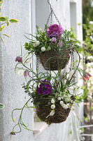 Ampel-Etagere in violett und weiß bepflanzt