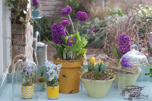 Pot arrangement with spring flowers