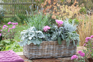 Autumn Box With Silver Gray Plants