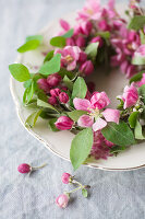 Wreath of crab apple blossom on plate