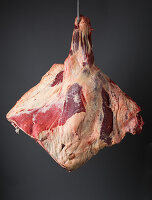 Forequarter of beef with shank, blade, shoulder and rib