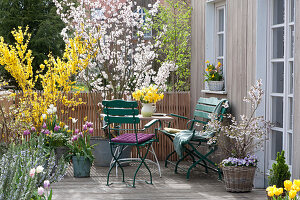Spring Terrace With Cherry And Gold Bells
