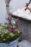 Handmade twig star as festive garden decoration