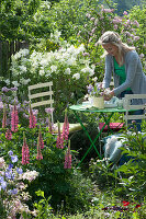 Seating In The Garden Between Lilac And Perennials