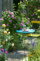 Small Sitting Area Next To Rose 'gertrude Jekyll'