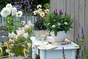 Bowl with zinnia, lavender, rosemary, simple dahlia 'Happy Days Lemon'