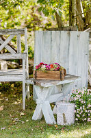 Arrangement of dahlias in wooden box on garden table next to watering can and flowering twinspur