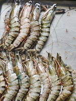 Raw gambas