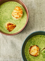 Spinach and lime soup with grilled scallops