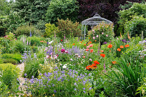 Frühsommer-Beet mit Storchschnabel, Pfingstrosen, Mohn und Stamm-Rose