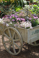 Hölzerner Wagen als Blumenbeet