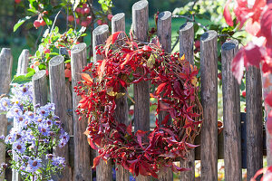 Autumn wreath with rose hips and wild wine on the fence