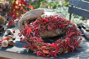 Autumn wreath with rose hips and wild wine