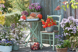 Herbst - Terrasse: Lampionpflanze, Astern, Walnüsse, Hokkaido-Kürbisse, Stiefmütterchen und Drahtkorb mit Äpfeln
