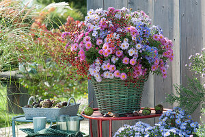 Autumn bouquet of asters, stonecrop and rose hips in basket