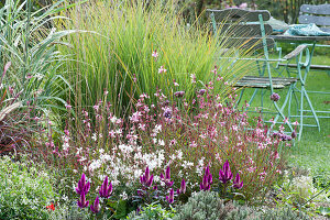 Bed with magnificent candle 'Lillipop Pink' 'Snowbird' and Chinese reed