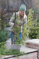 Christmas decoration for the terrace with branches