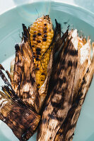 Grilled corn on the cob