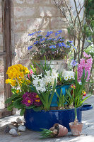 Etagere aus Töpfen mit Frühlingsblumen bepflanzt