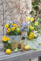 Blue and yellow Easter decoration with primrose, violets, ray anemone and daffodil