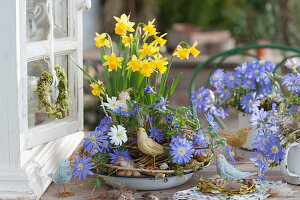 Spring bowl with daffodils 'Tete a Tete' and ray anemone, wooden birds as decoration