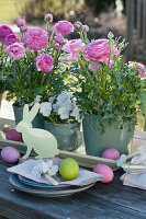Easter table decoration with ranunculus and horn violets