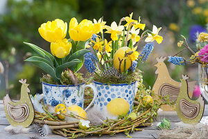 Small Easter table decoration with tulips, daffodils and grape hyacinths in cups, wooden chickens and Easter eggs as decoration