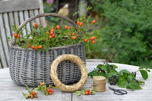 Ingredients for autumn wreath with rose hips