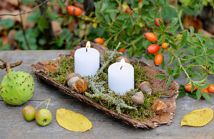 Kerzen mit Moos und Eicheln auf Baumrinde