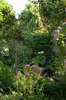 Schattige Gartenecke mit Hortensien