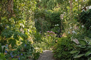 Weg zwischen Beeten im Schattengarten