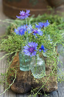 Small bottles with cornflower blossoms and bedstraw