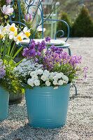 Blue tin bucket with primrose Belarina 'Snow', goose cress 'Roselite', ribbon flower 'Snowball' and gold lacquer poem 'Lilac'