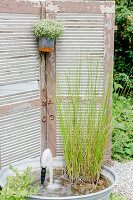 Small water feature in an old zinc tub