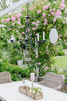 Sommerterrasse mit Kletterrose an Pergola