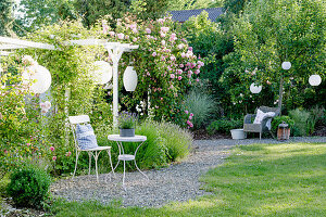 A small gravel terrace with seating and climbing rose on the pergola