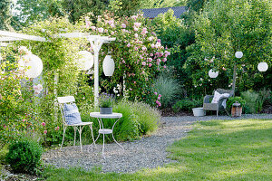 Kleine Kiesterrasse mit Sitzplatz und Kletterrose an Pergola